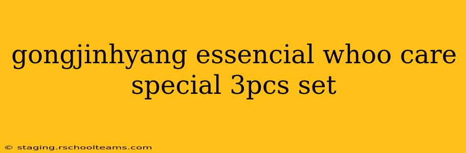 gongjinhyang essencial whoo care special 3pcs set