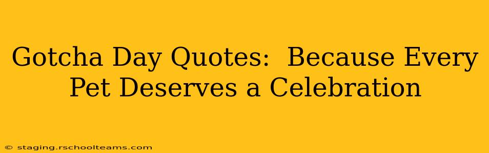 Gotcha Day Quotes:  Because Every Pet Deserves a Celebration