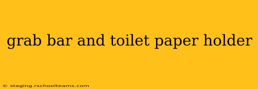 grab bar and toilet paper holder