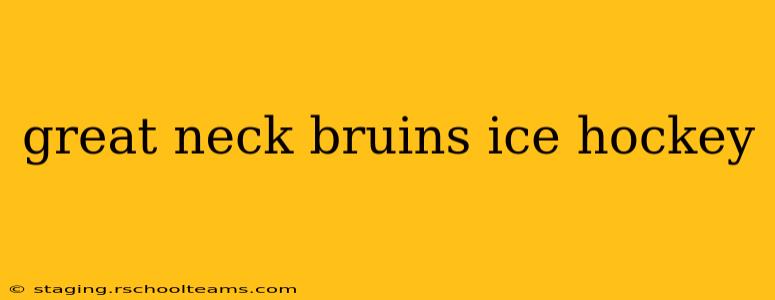 great neck bruins ice hockey