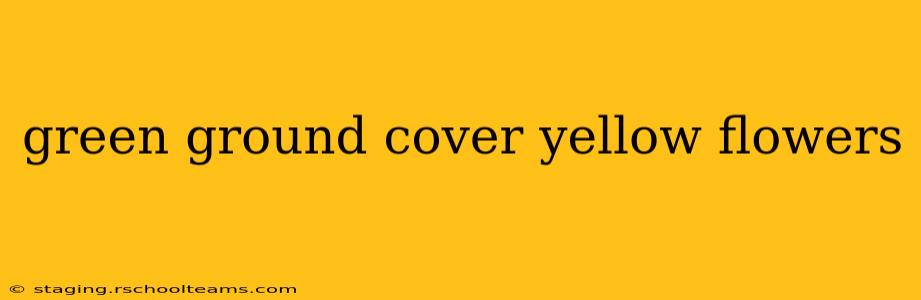 green ground cover yellow flowers