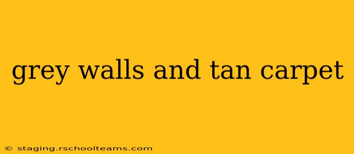 grey walls and tan carpet