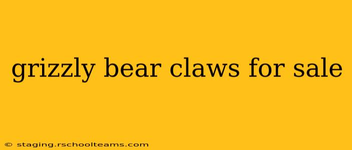 grizzly bear claws for sale