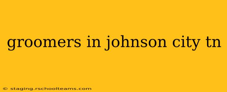 groomers in johnson city tn