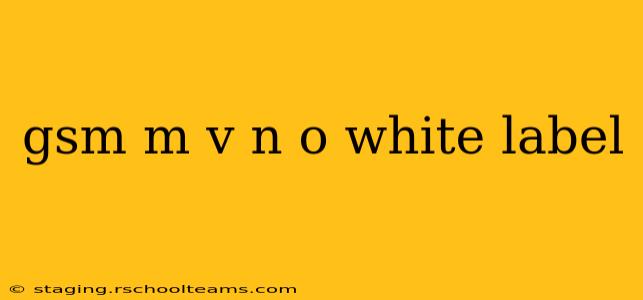gsm m v n o white label