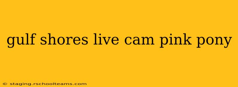 gulf shores live cam pink pony