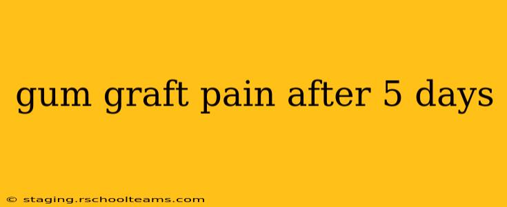gum graft pain after 5 days