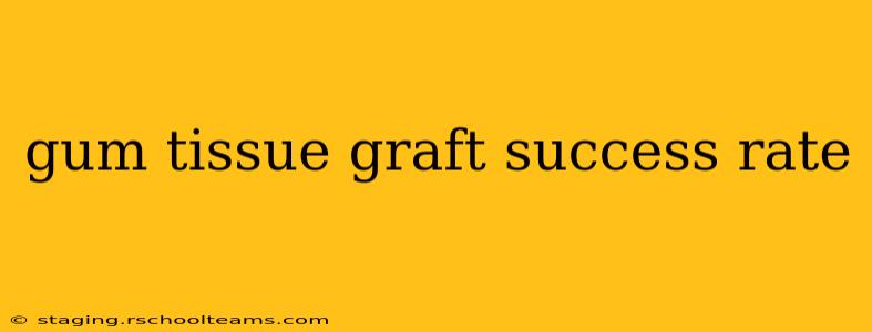 gum tissue graft success rate