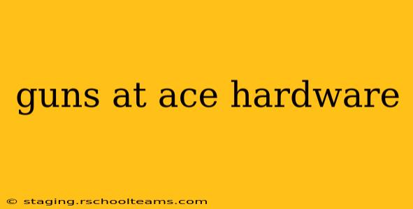guns at ace hardware