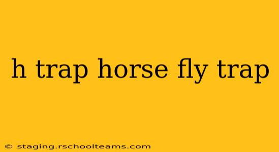 h trap horse fly trap