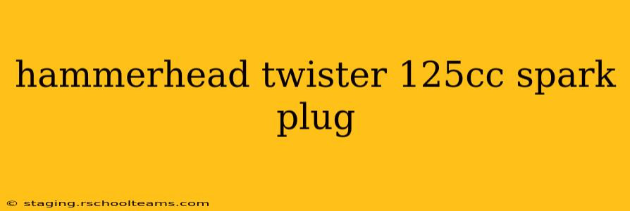 hammerhead twister 125cc spark plug