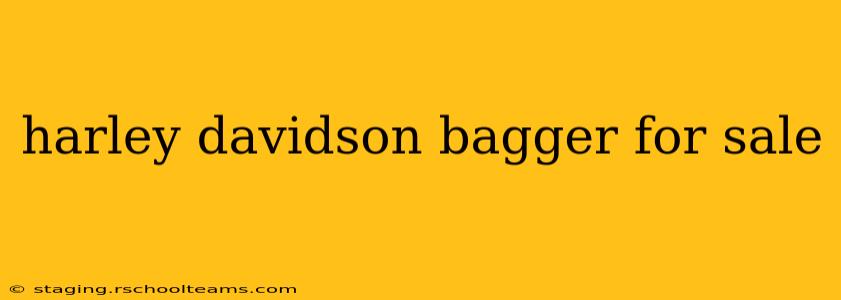 harley davidson bagger for sale