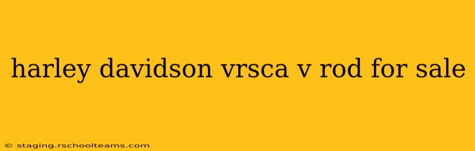 harley davidson vrsca v rod for sale