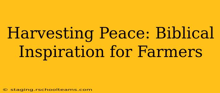 Harvesting Peace: Biblical Inspiration for Farmers