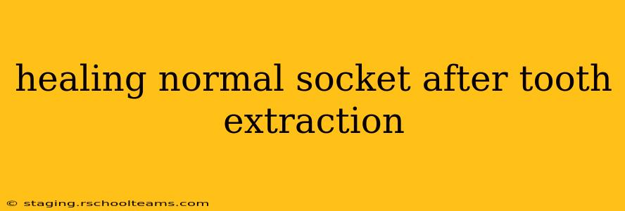 healing normal socket after tooth extraction