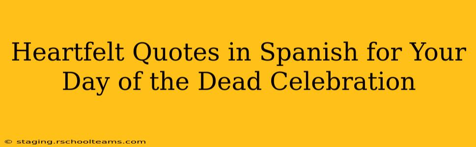 Heartfelt Quotes in Spanish for Your Day of the Dead Celebration