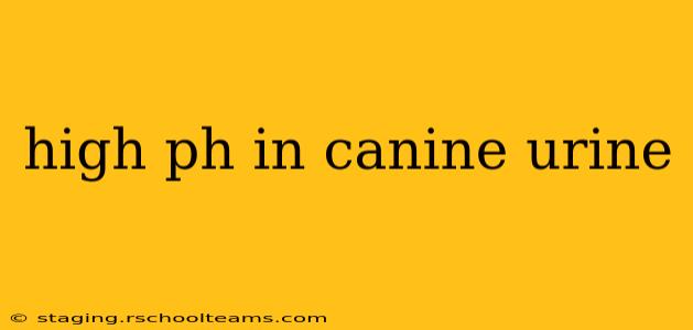 high ph in canine urine