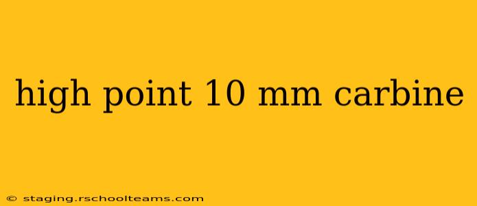 high point 10 mm carbine