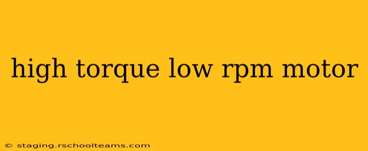 high torque low rpm motor