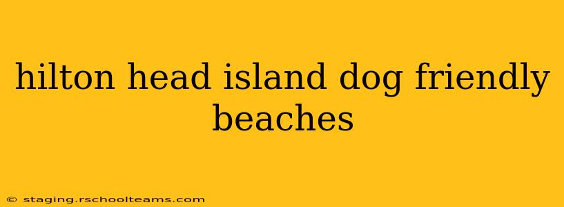 hilton head island dog friendly beaches