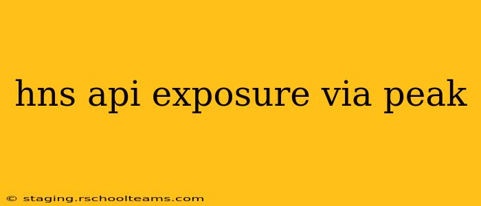 hns api exposure via peak