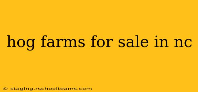 hog farms for sale in nc