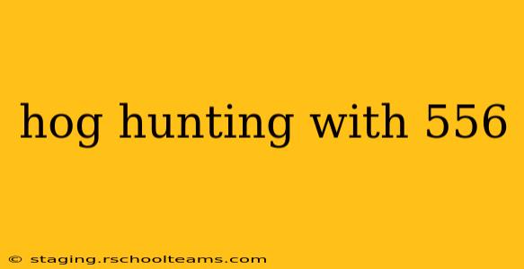 hog hunting with 556