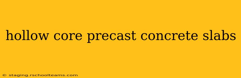 hollow core precast concrete slabs