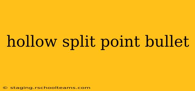 hollow split point bullet