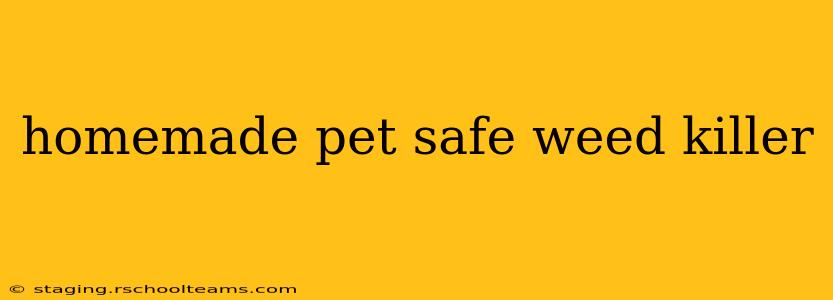 homemade pet safe weed killer