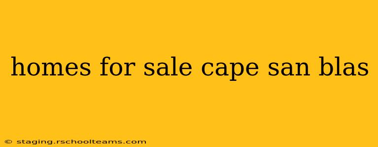 homes for sale cape san blas