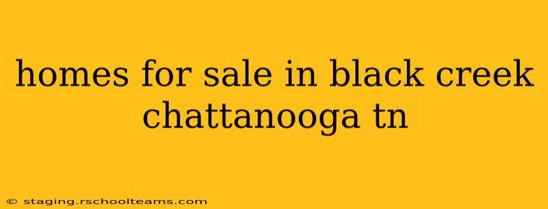 homes for sale in black creek chattanooga tn