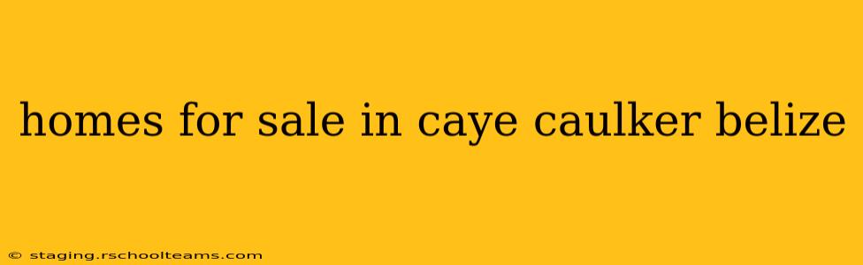 homes for sale in caye caulker belize