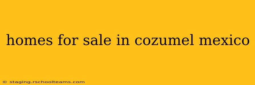 homes for sale in cozumel mexico