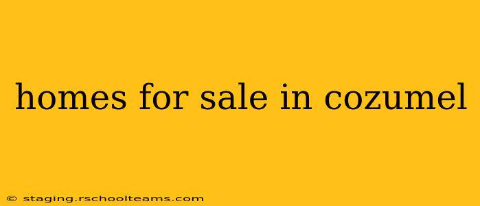 homes for sale in cozumel