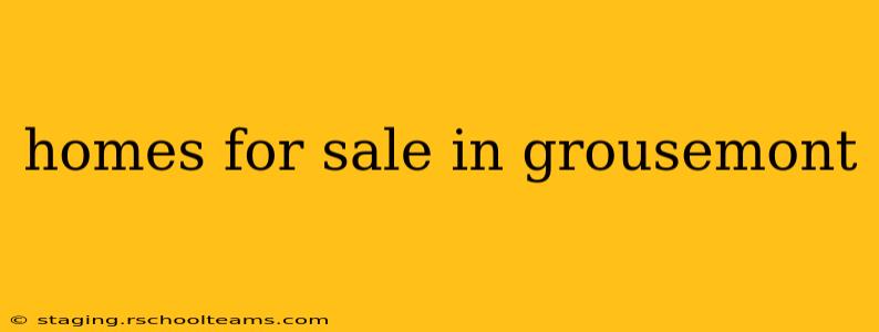 homes for sale in grousemont
