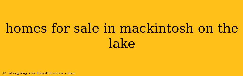 homes for sale in mackintosh on the lake