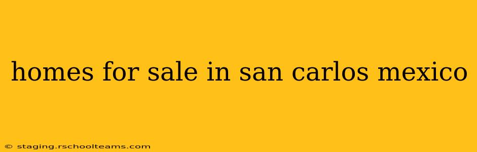 homes for sale in san carlos mexico