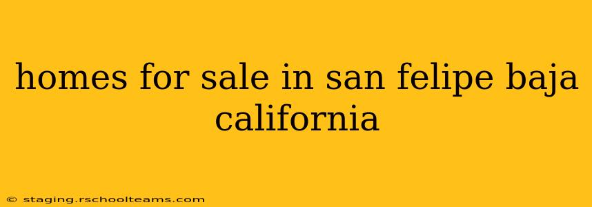 homes for sale in san felipe baja california