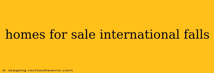 homes for sale international falls
