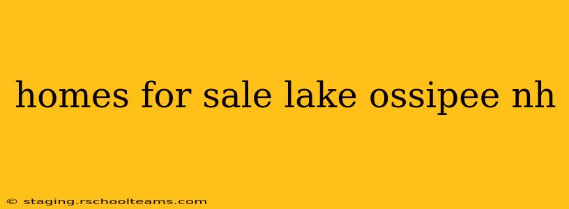 homes for sale lake ossipee nh