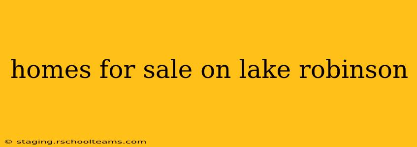 homes for sale on lake robinson