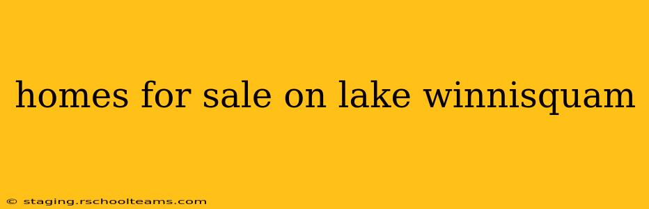 homes for sale on lake winnisquam