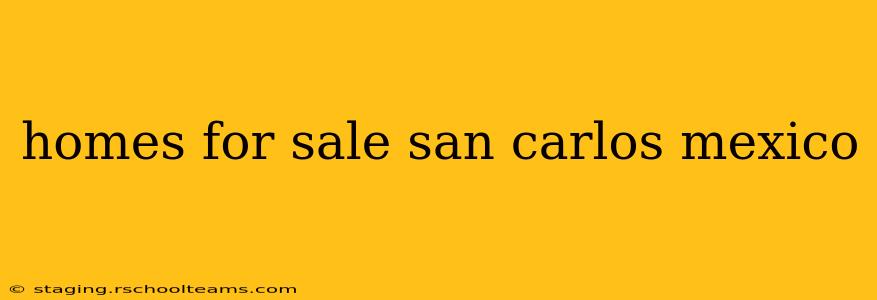 homes for sale san carlos mexico