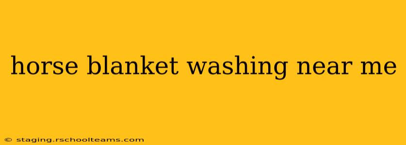 horse blanket washing near me