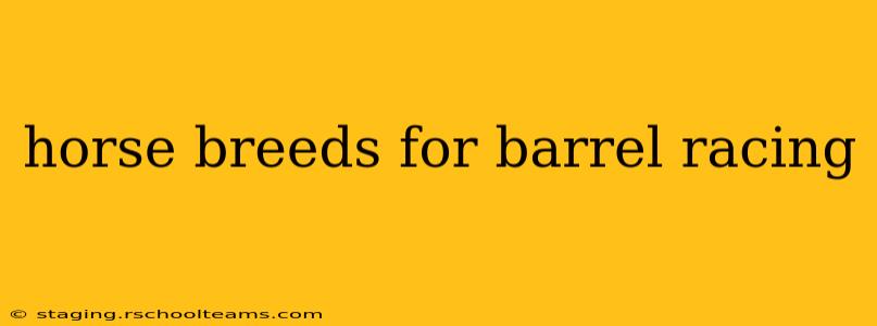 horse breeds for barrel racing