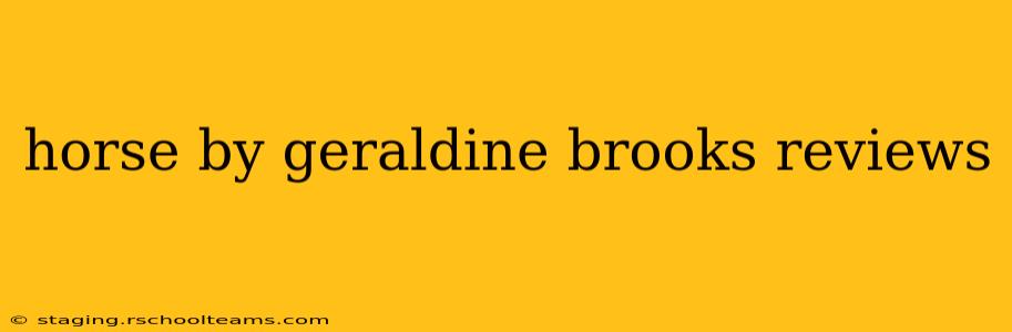horse by geraldine brooks reviews