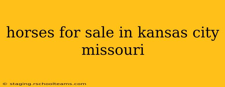 horses for sale in kansas city missouri