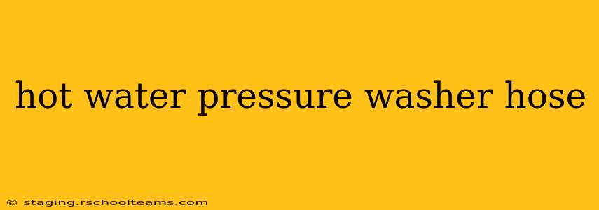 hot water pressure washer hose