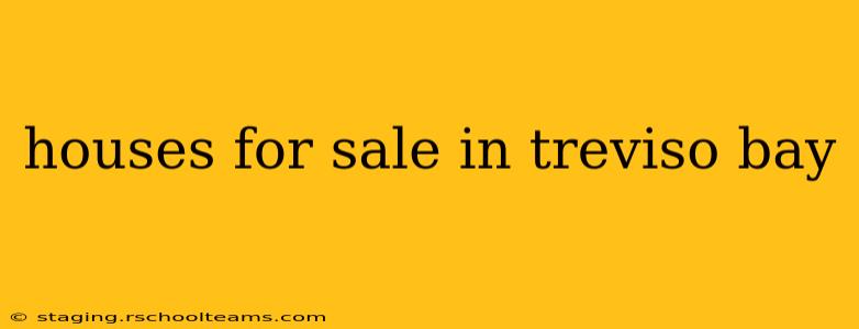 houses for sale in treviso bay
